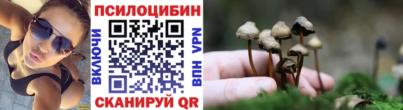 Псилоцибиновые грибы Cubensis Мосальск